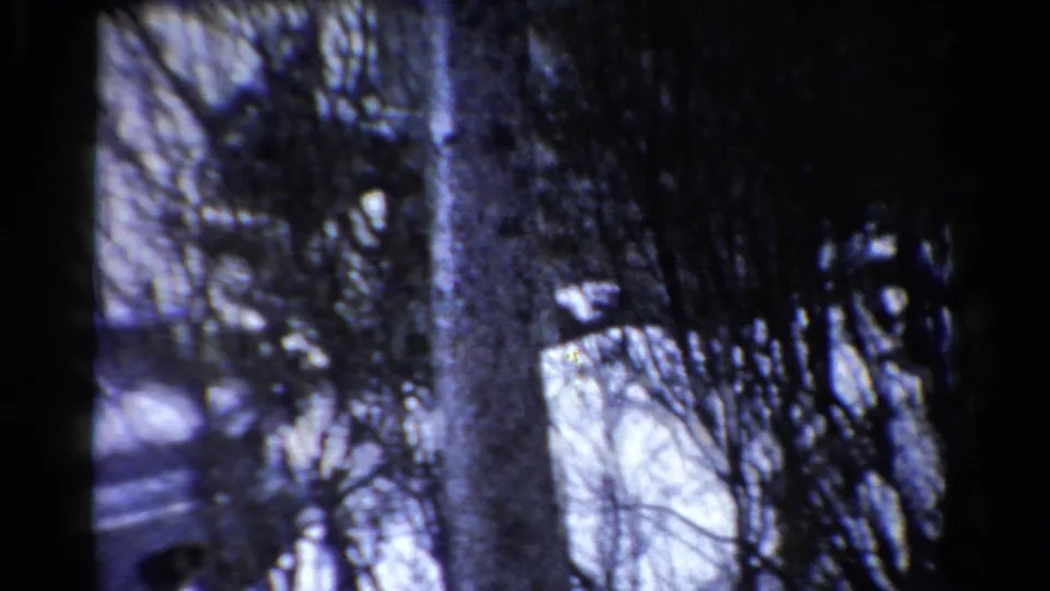 1954 Toledo home-movie frame where bare winter shrubs and snow dominate, with the blue sedan only partly visible at left.