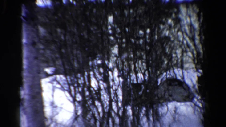 1954 Toledo winter yard view with snow, leafless shrubs, evergreens, and a pale yellow building seen through branches.