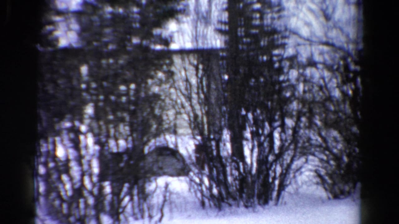Snowy landscape with shrubs, evergreens, and part of a pale building behind the trees.