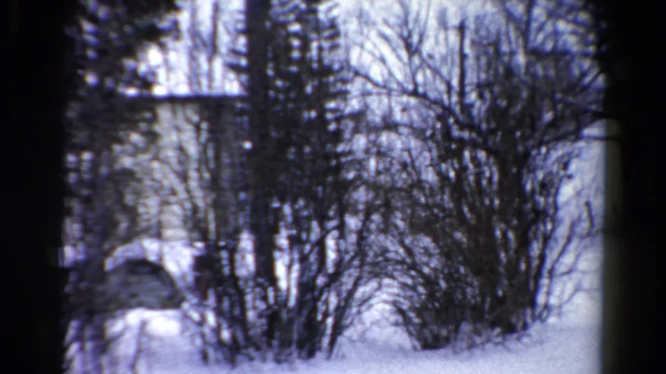 1954 Toledo 8mm frame of a snow-covered yard, dense bare shrubs, evergreens, and a pale building in the background.