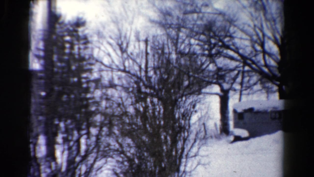 1954 Toledo home-movie frame showing a snow-covered yard with bare trees, shrubs, utility poles, and part of a small shed.
