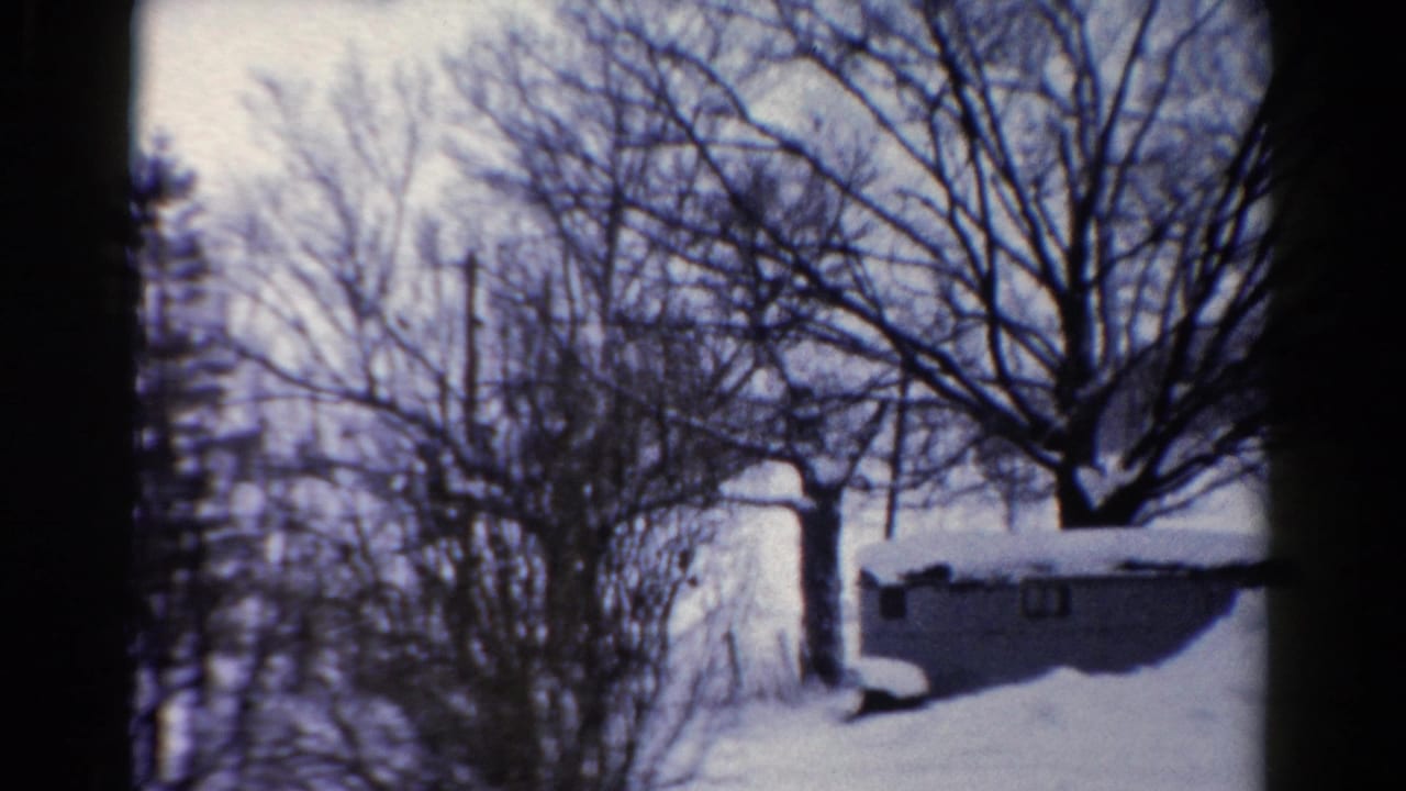 Small snow-covered shed beside bare trees and utility poles in a winter yard.