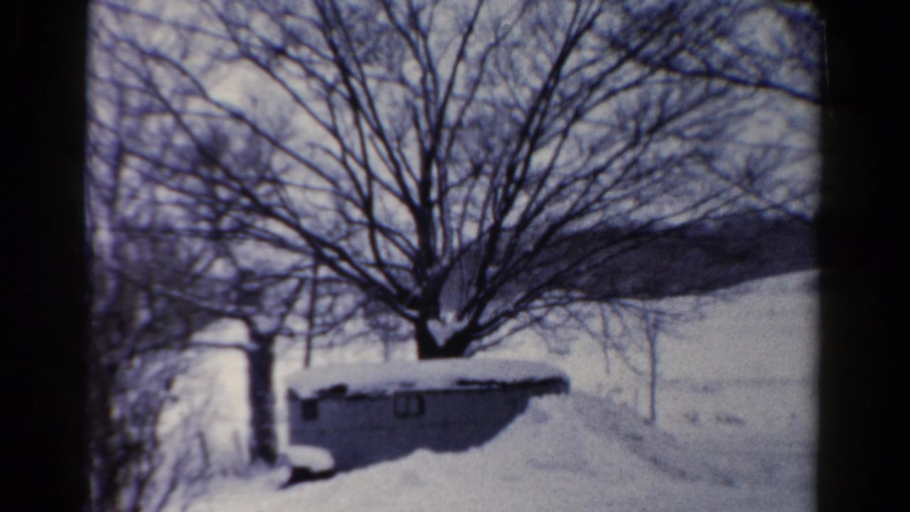 Snow-covered shed beside bare trees with open snowy land beyond.
