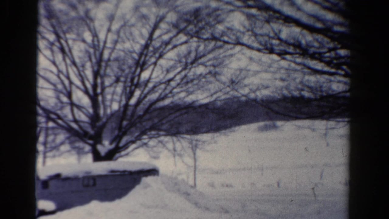 Snowy outdoor view with bare trees and a low snow-covered structure at left.