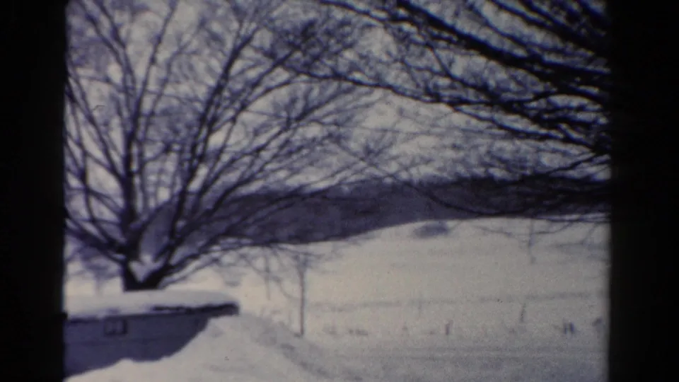 1954 Toledo winter view with snow across the ground, leafless trees in front, and a darker wooded rise in the distance.