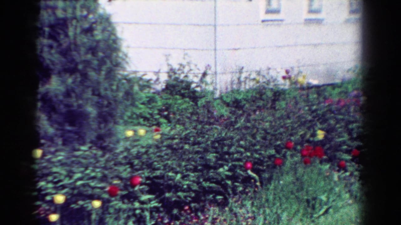 Dense garden foliage with scattered red and yellow blooms in front of a house.