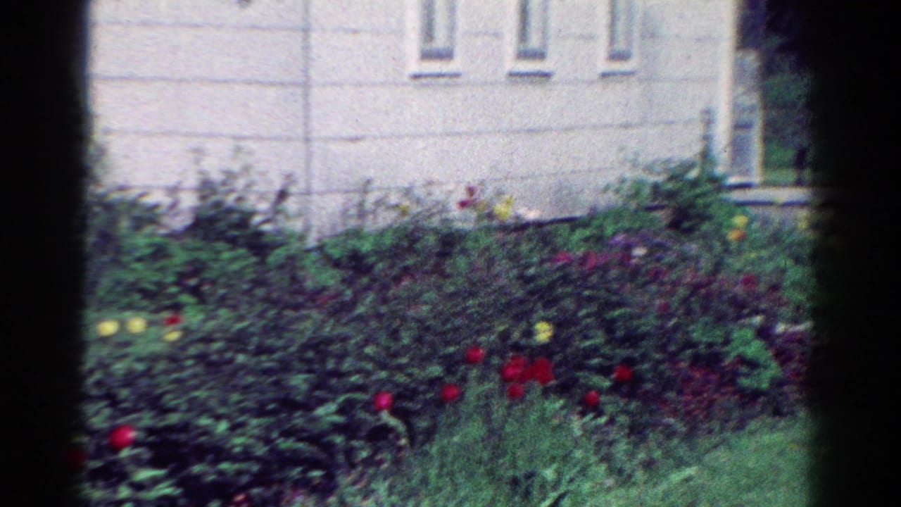 Flower beds with red and yellow blooms beside a pale grey building wall.