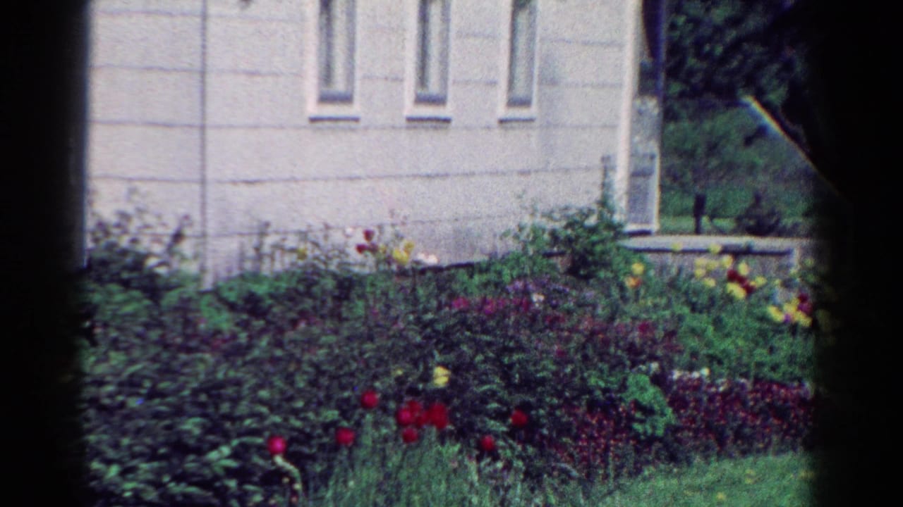1954 Toledo 8mm frame with a dense garden beside a pale building and a mature tree visible at right.