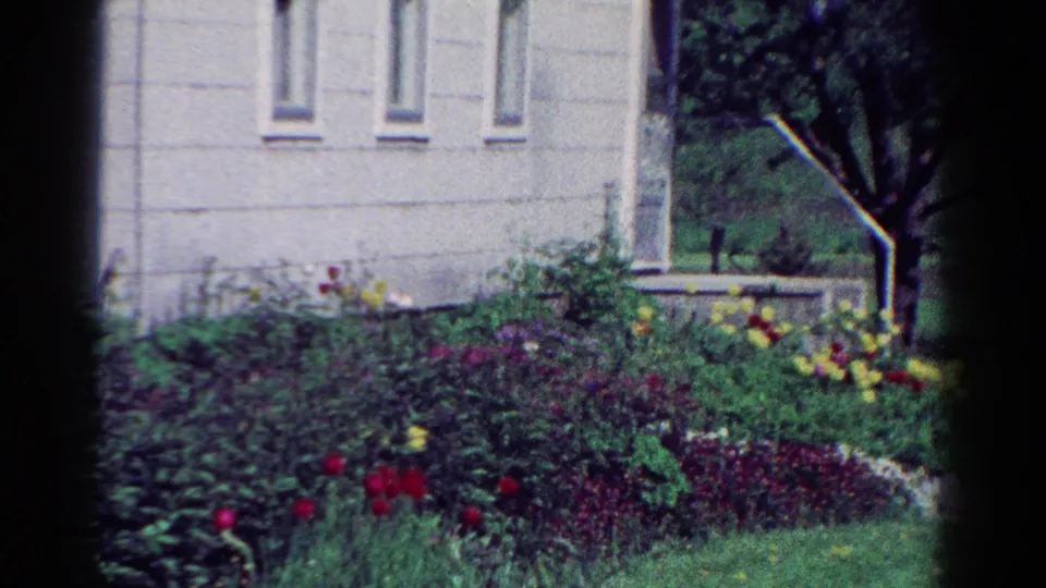 1954 Toledo 8mm frame showing flower beds curving near a pale building corner with lawn and a tree behind.
