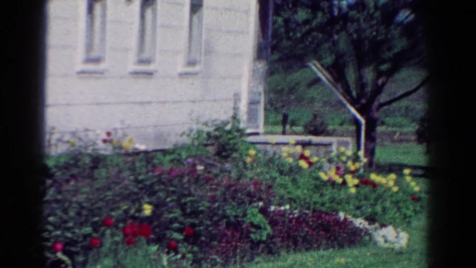 1954 Toledo 8mm frame ending on colorful garden beds, a pale building wall, lawn, and tree under soft home-movie focus.