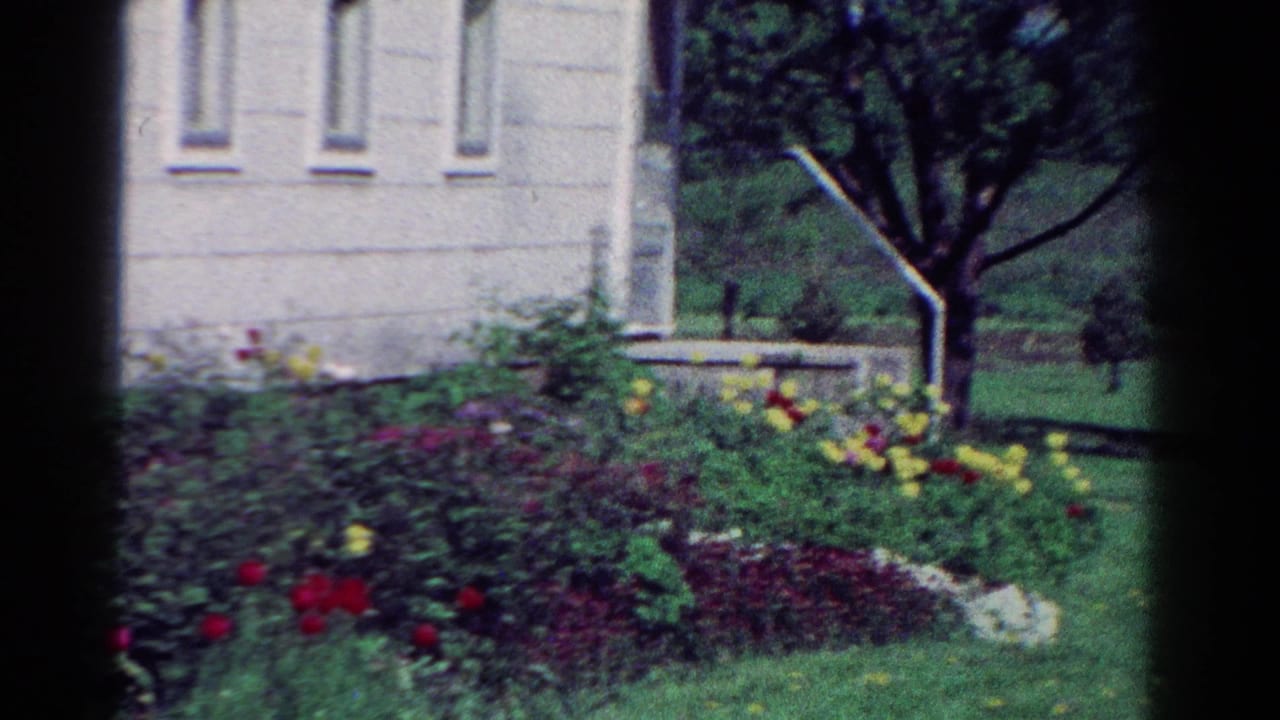 1954 Toledo home-movie frame showing flowers, trimmed grass, a white house wall, and a tree in a residential yard.