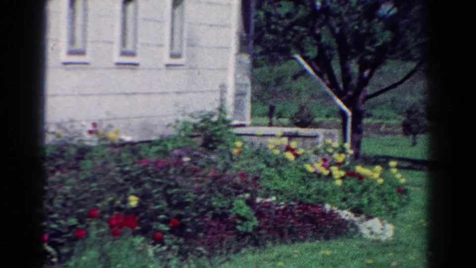 1954 Toledo home-movie frame showing flowers, trimmed grass, a white house wall, and a tree in a residential yard.