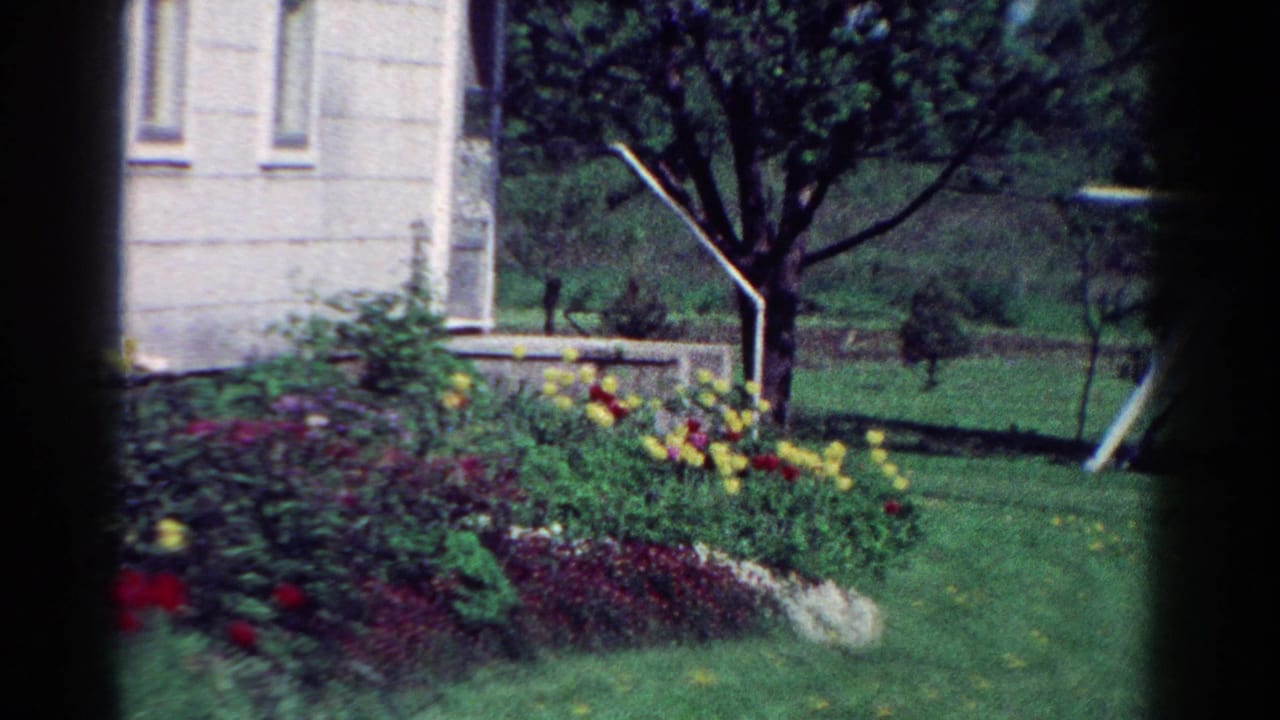 1954 Toledo yard view with colorful flowers, a tree, clipped lawn, white house siding, and a swingset entering at right.