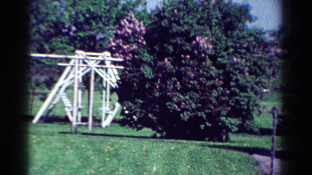 1954 Toledo 8mm frame showing a pale outdoor structure on a lawn, with dense trees and shrubs in the background.
