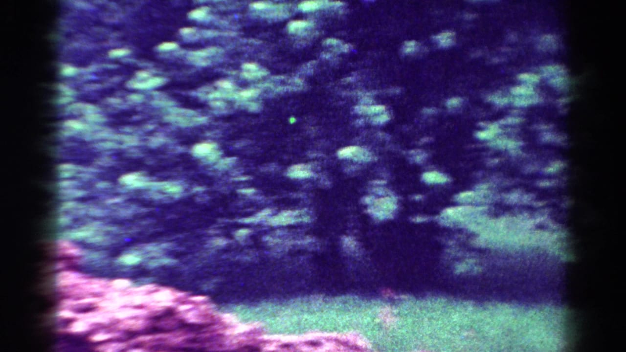 Soft, handheld 8mm frame showing blurred garden foliage, grass, pink flowers, and deep blue-purple color cast.