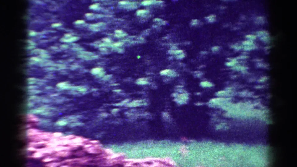 Soft, handheld 8mm frame showing blurred garden foliage, grass, pink flowers, and deep blue-purple color cast.