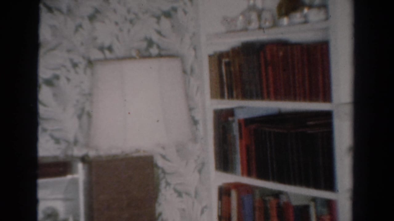 Living-room bookshelf beside a white lampshade and floral wallpaper.