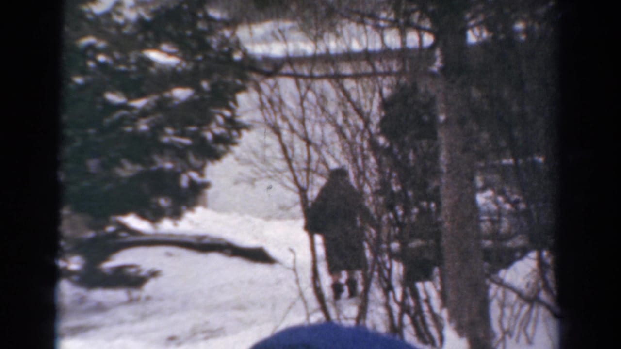 1954 Toledo home-movie frame showing snow-covered ground, winter shrubs, tree trunks, and a distant bundled person outdoors.