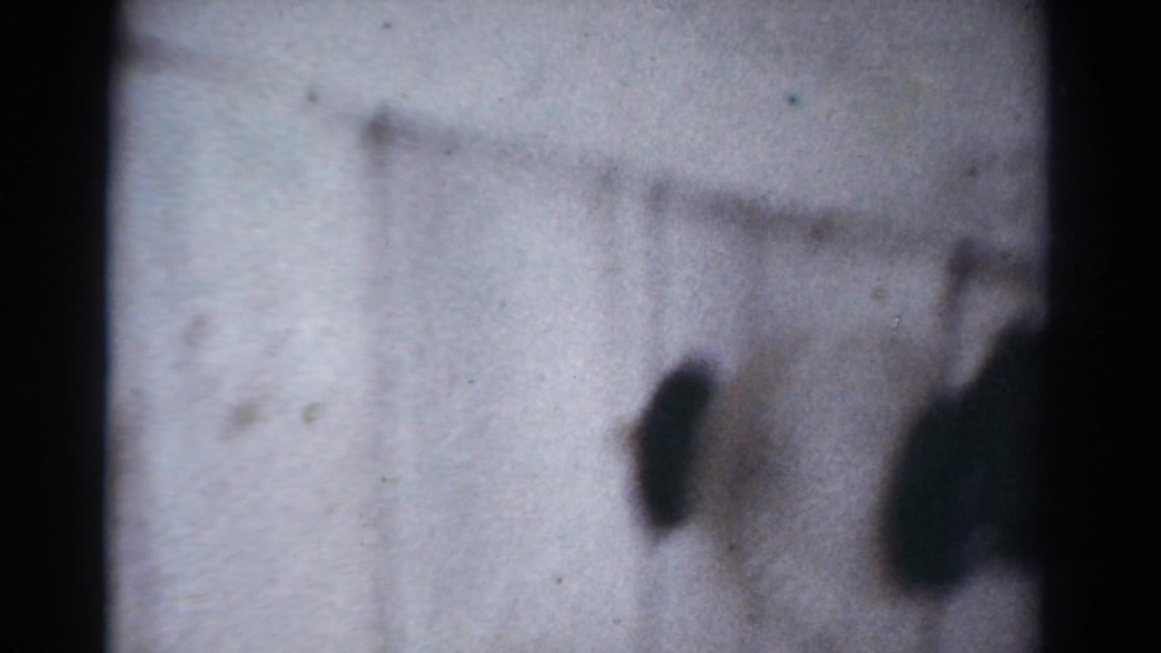 Pale surface with a blurred dark shape near the right edge.