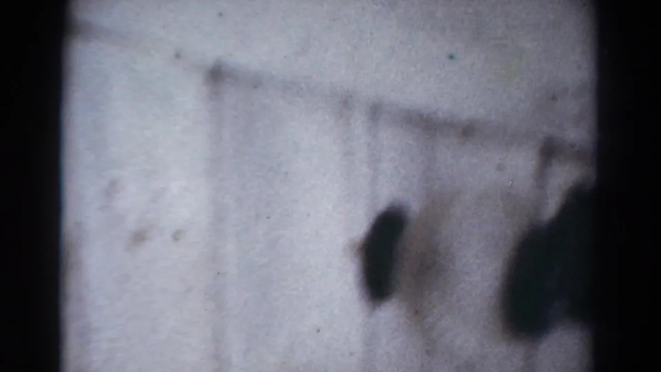 Soft 8mm frame from the Toledo clip showing a pale snowy or light surface and a dark, out-of-focus shape near the right side.