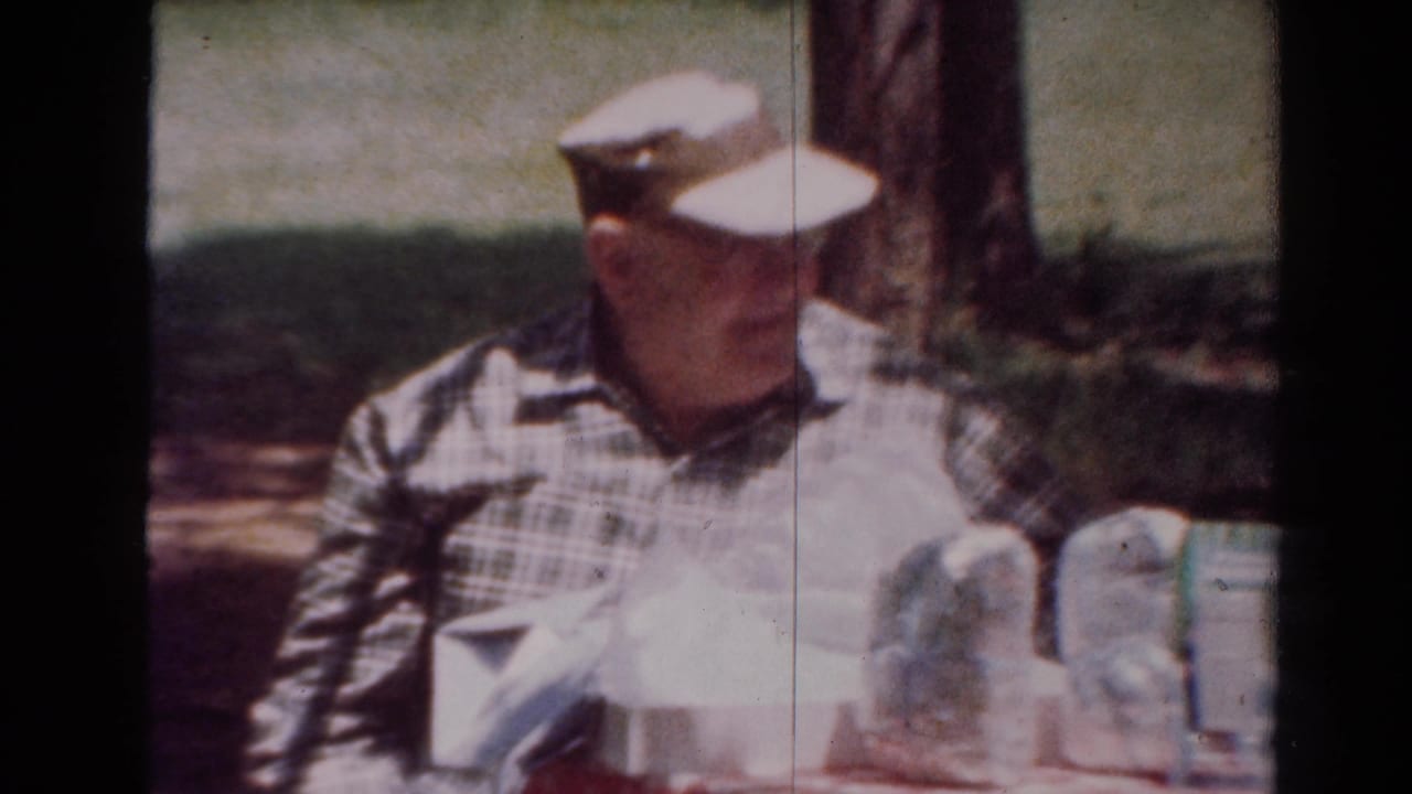 The man remains seated beside picnic items in a shaded Toledo park scene, with trees and grass behind him.
