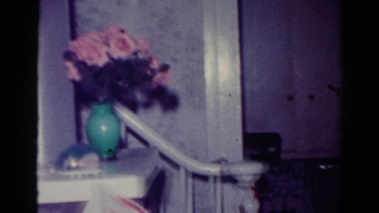 A 1954 Toledo holiday interior shows a green vase with pink flowers beside a white stair rail and nearby wall surfaces.