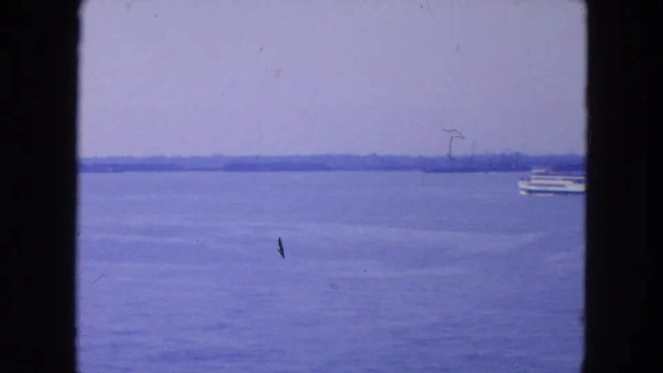 1954 New York City harbor footage showing open blue water, a distant passenger boat, and a low hazy shoreline.