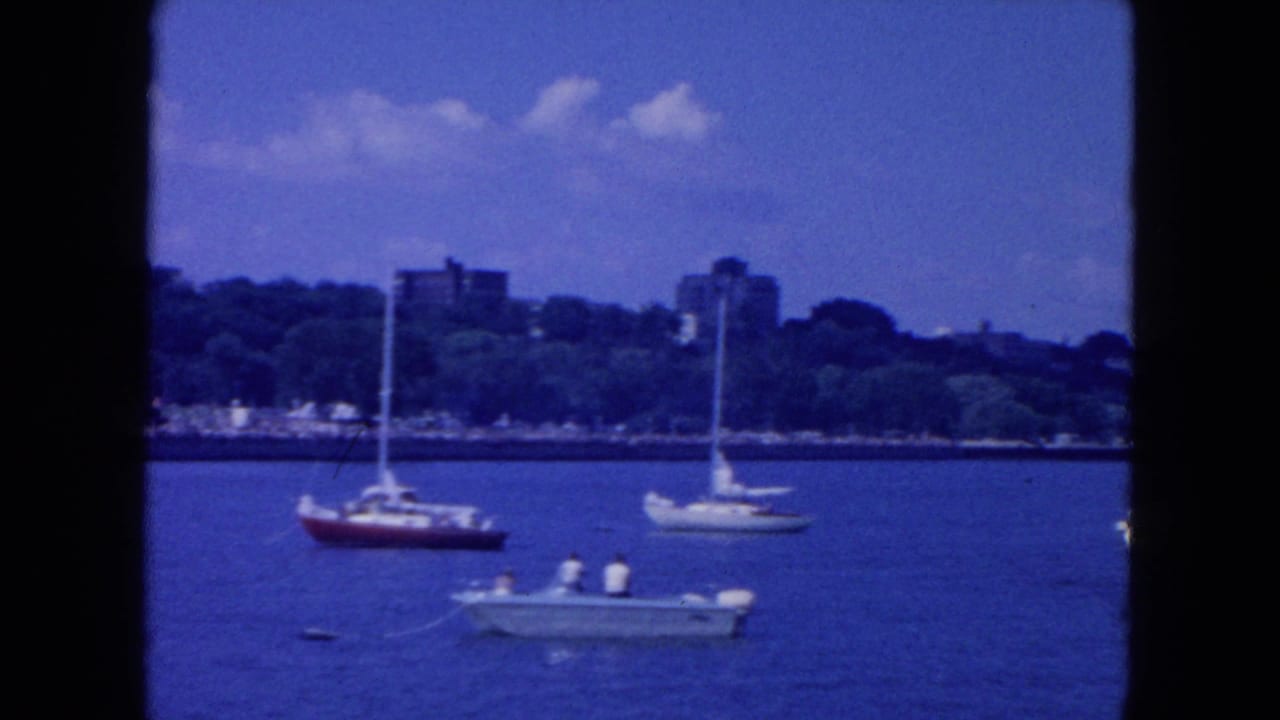 Small boats on blue water with a tree-lined shore and distant buildings behind them.