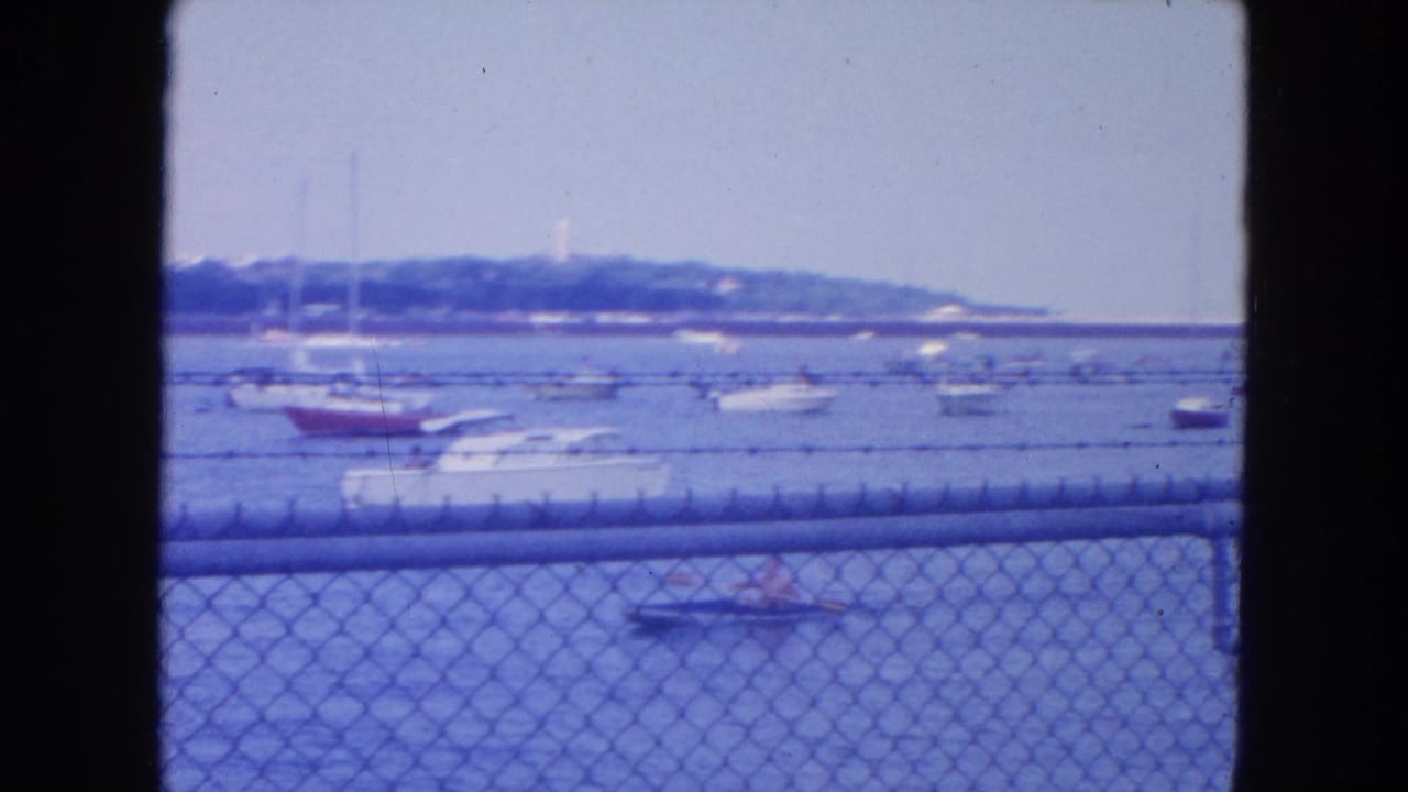 Small boats on blue water behind a chain-link fence with a distant tree-lined shore.