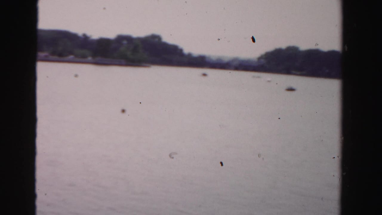 Wide water view with wooded shoreline and no people visible.