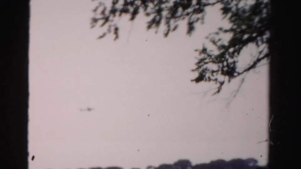 Final soft 8mm frame with overhanging branches, pale sky, open water, and a distant low shoreline.