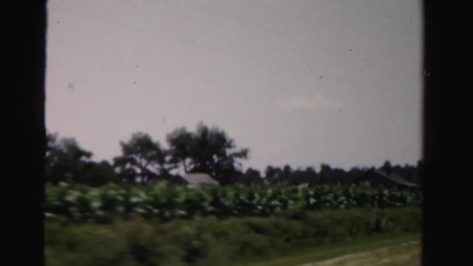 1955 8mm frame across Washington parkland, showing plantings, trees, open sky, and a faint Washington Monument beyond the grounds.