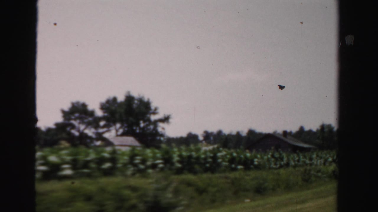 Crop field and low farm buildings seen from a moving roadside view.