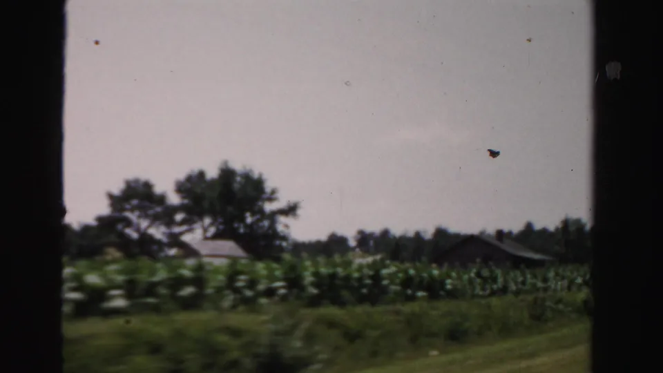 1955 Dade County roadside view of crop rows, trees, and low rural farm buildings seen through 8mm frame borders.