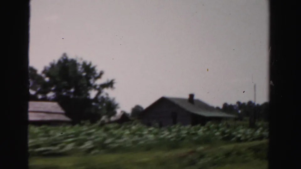 Motion-blurred 1955 rural Florida view with crop rows, a wooden farm building, trees, and dark 8mm borders.