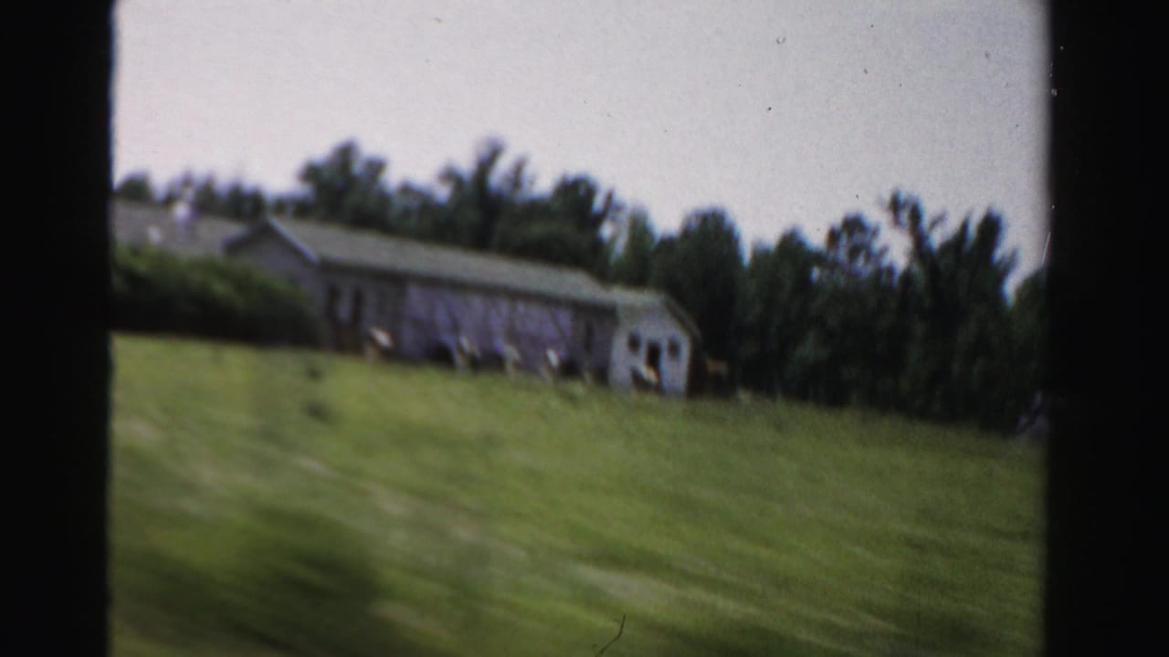 Grassy field with a low rural building and trees in the background.