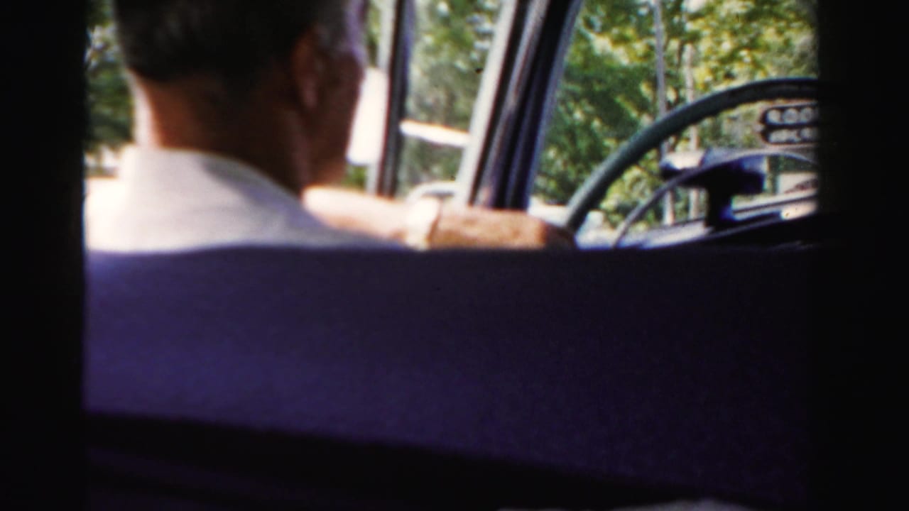 Inside a moving car in Dade County, the driver is seen from behind with the steering wheel and roadside trees visible.