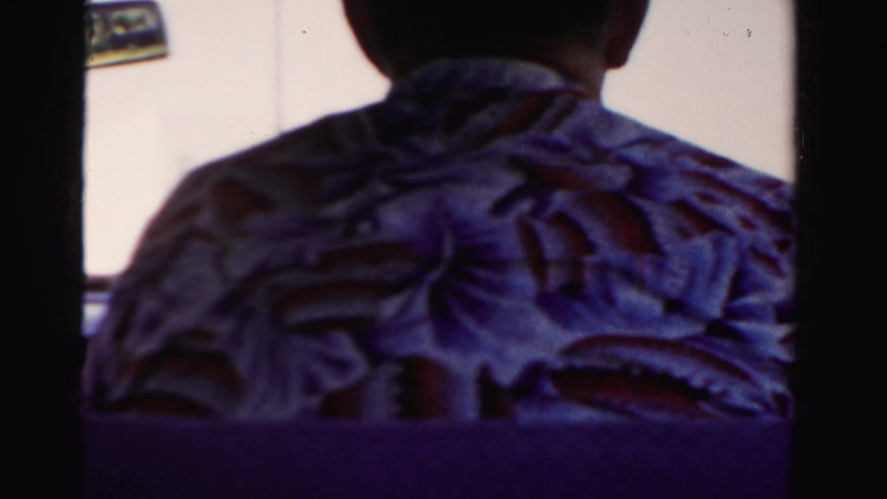 Man in a patterned shirt seen from behind inside a car, with a window and wall beyond.