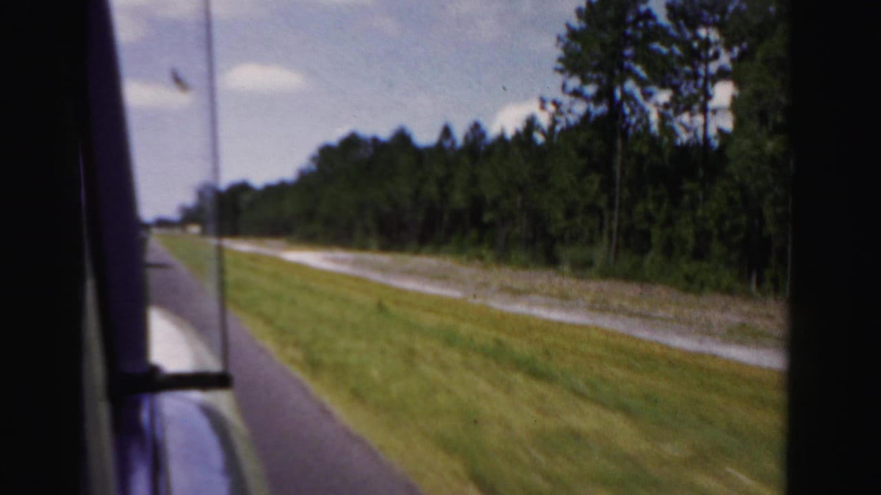 1955 Dade County car-window view of a paved road, grassy shoulder, utility pole, and pine tree line under a bright sky.