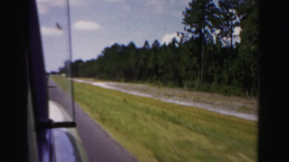 1955 Dade County car-window view of a paved road, grassy shoulder, utility pole, and pine tree line under a bright sky.