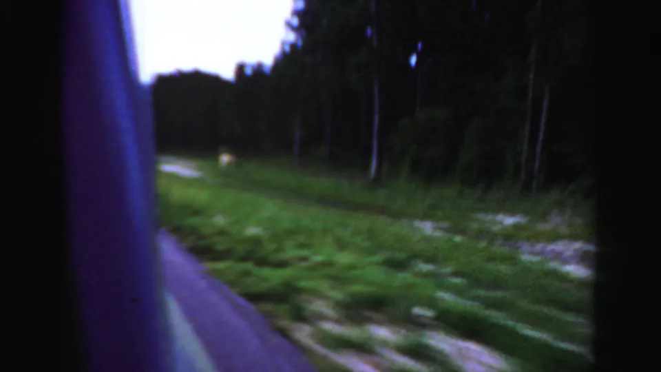 From inside the moving car, the camera looks past the window frame toward blurred grass, trees, and a rural-looking roadside in Dade County.