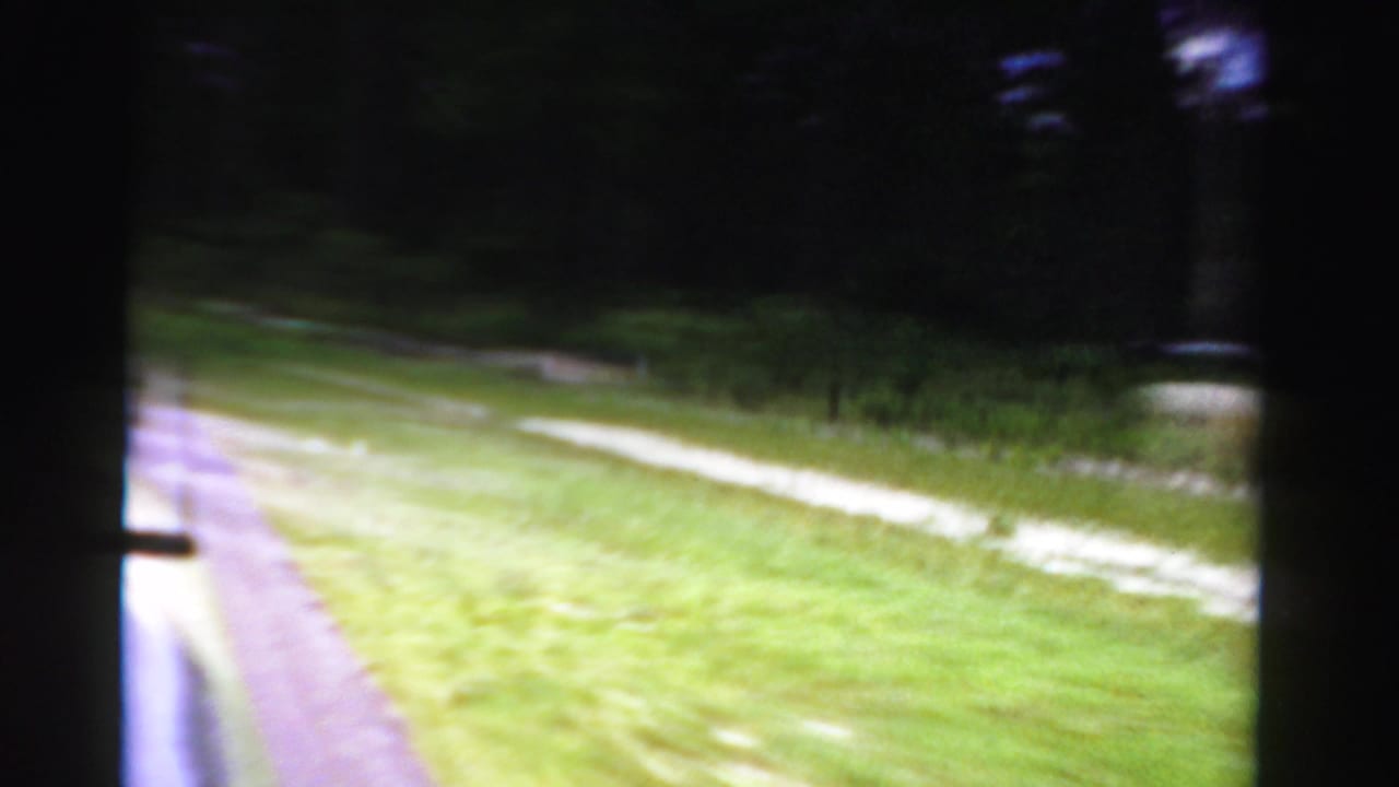 Passenger-side view in Dade County, Florida, showing grass, pale dirt tracks, and dark trees through a moving-car window.