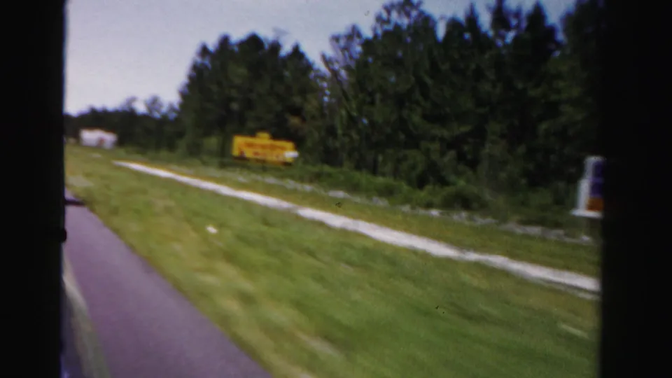 1955 Dade County roadside view with grass, pine trees, and a blurred yellow sign seen through a car window.