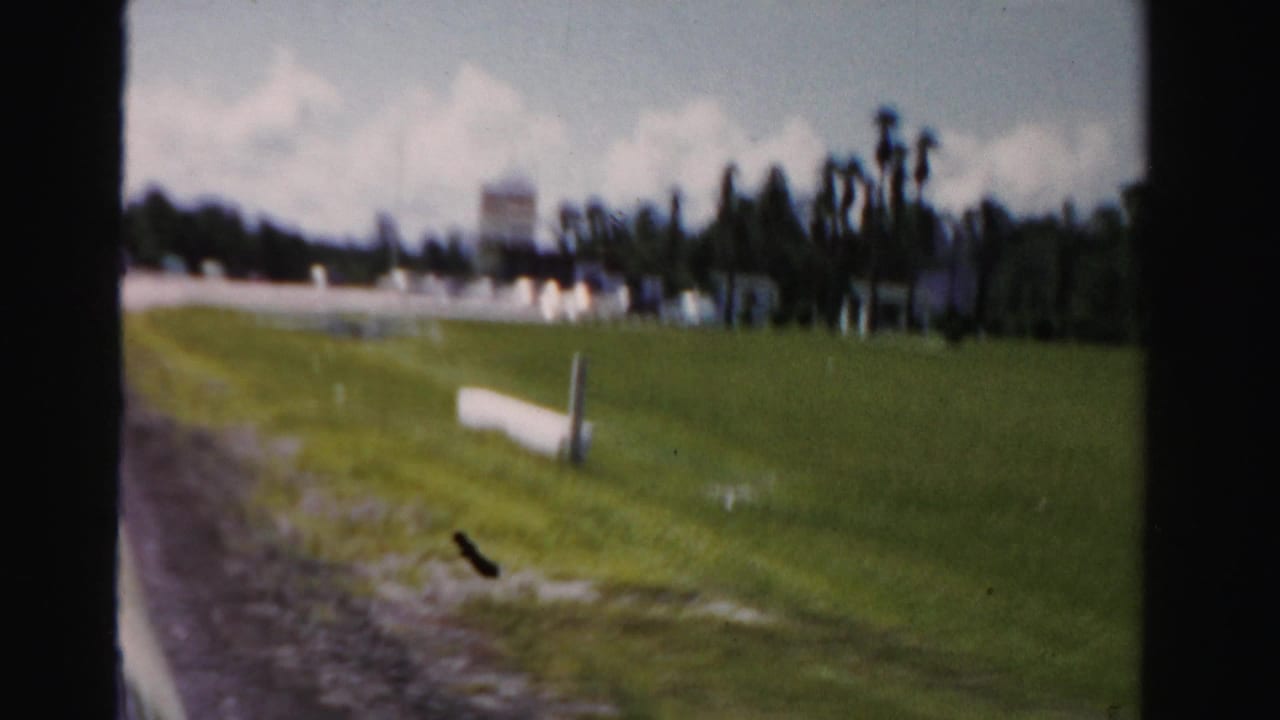 Grassy roadside and distant parked cars seen from a moving vehicle.
