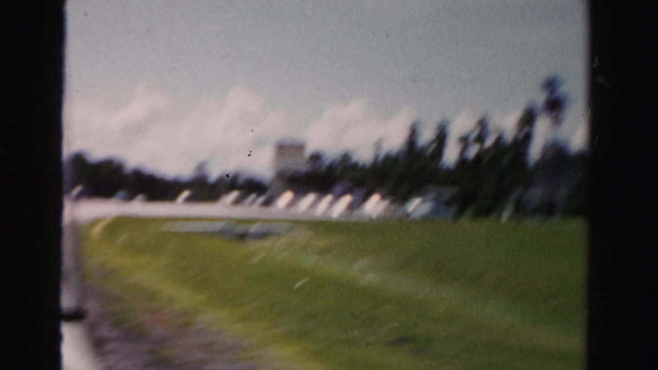 Roadside grass and a distant parking area with cars and palms.