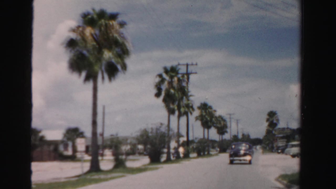 1955 Dade County Florida street view from a moving car, with palms, utility poles, low roadside buildings, and a dark car ahead.