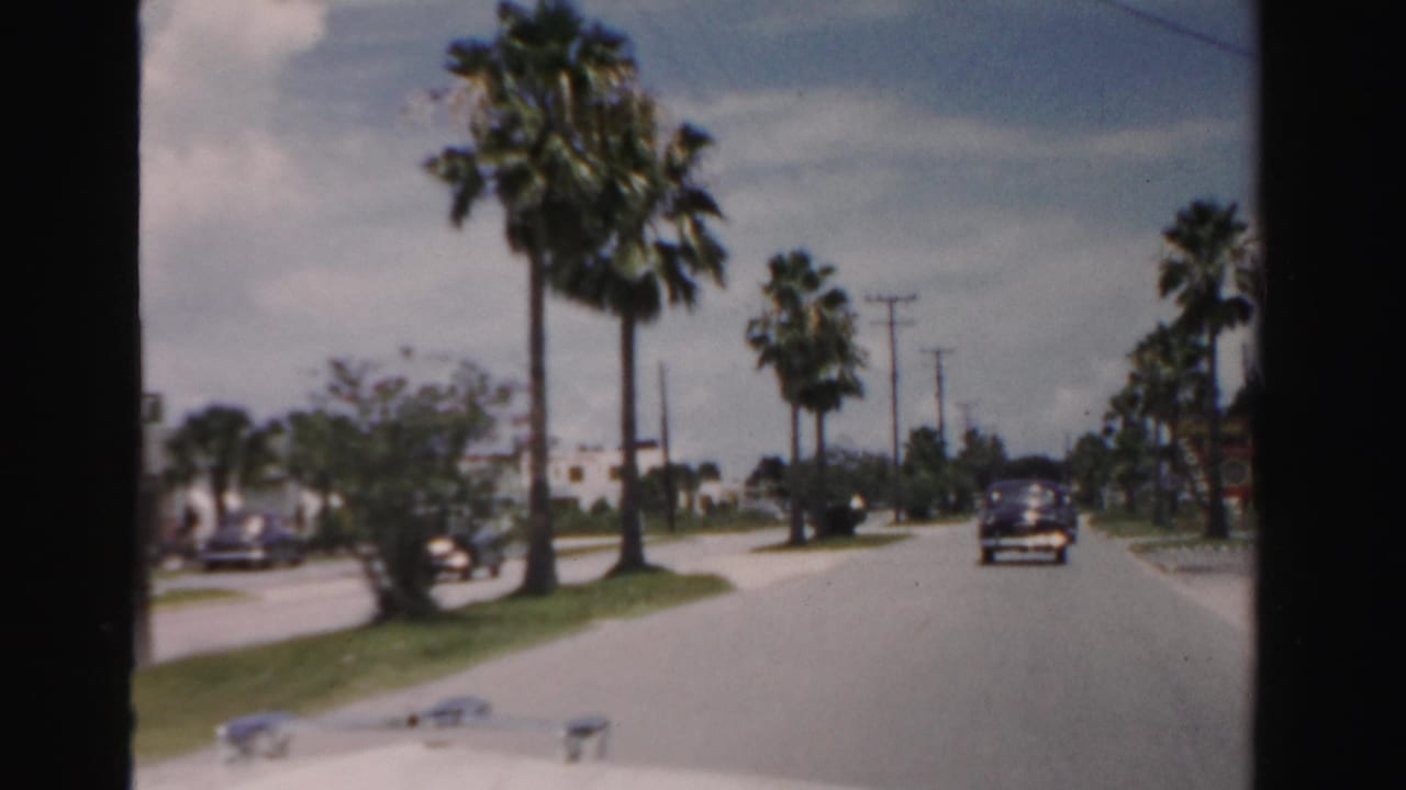 A moving-car view in Dade County, Florida, showing a palm-lined roadway, a classic car ahead, and modest roadside structures under a bright sky.