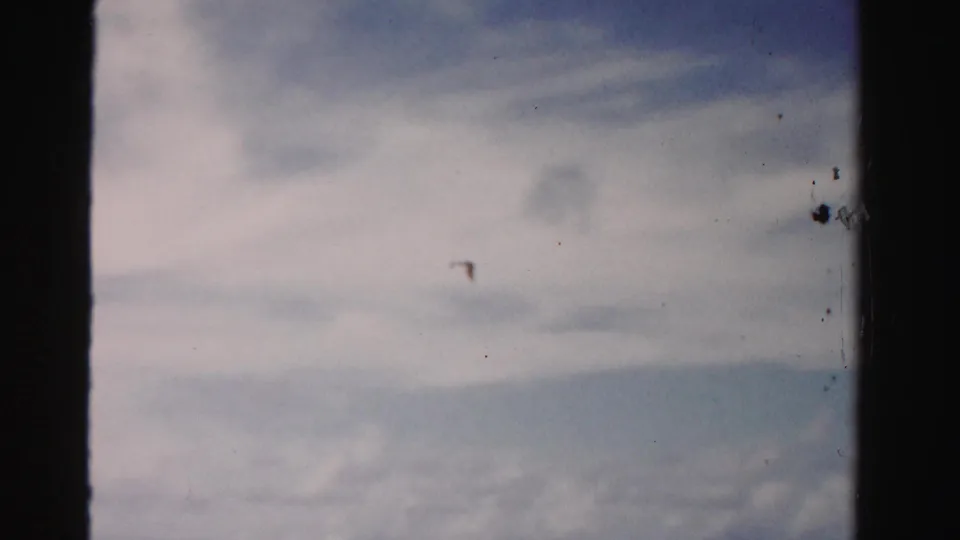 The camera tilts or drifts to a pale cloudy sky, with a small bird or film speck visible against the clouds.