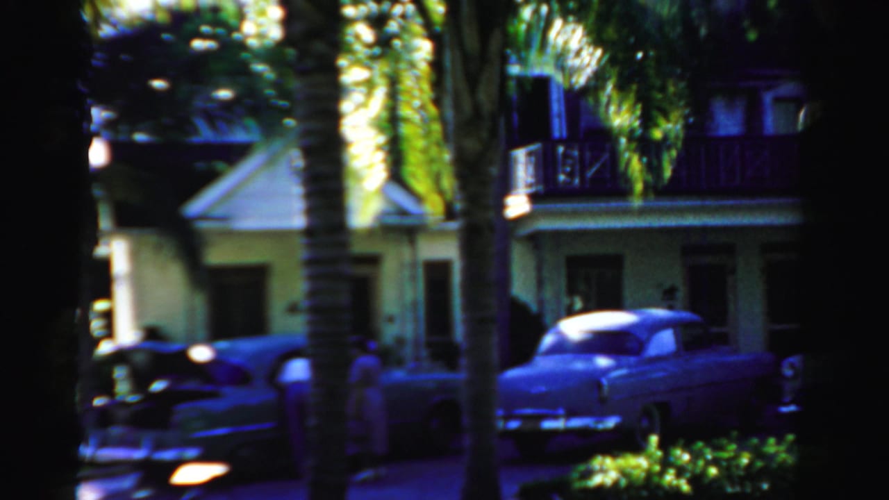 Palm-shaded house fronts with parked mid-century cars along the curb.