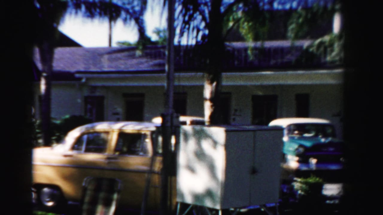 Yellow car and turquoise car parked outside a low stucco building partly hidden by palms.